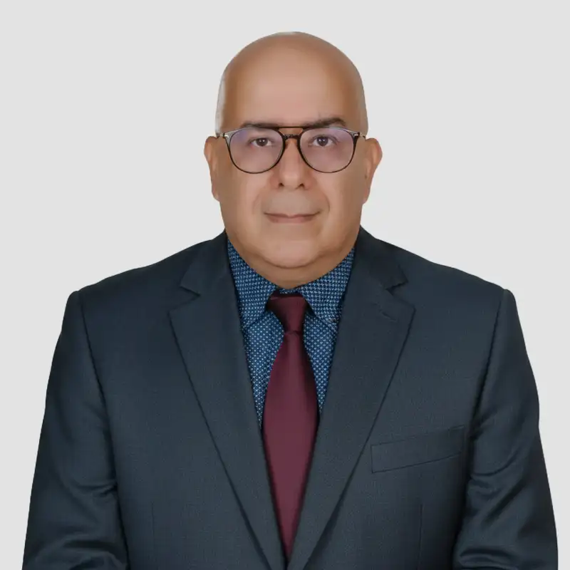 Mahmoud Montassar Mansour